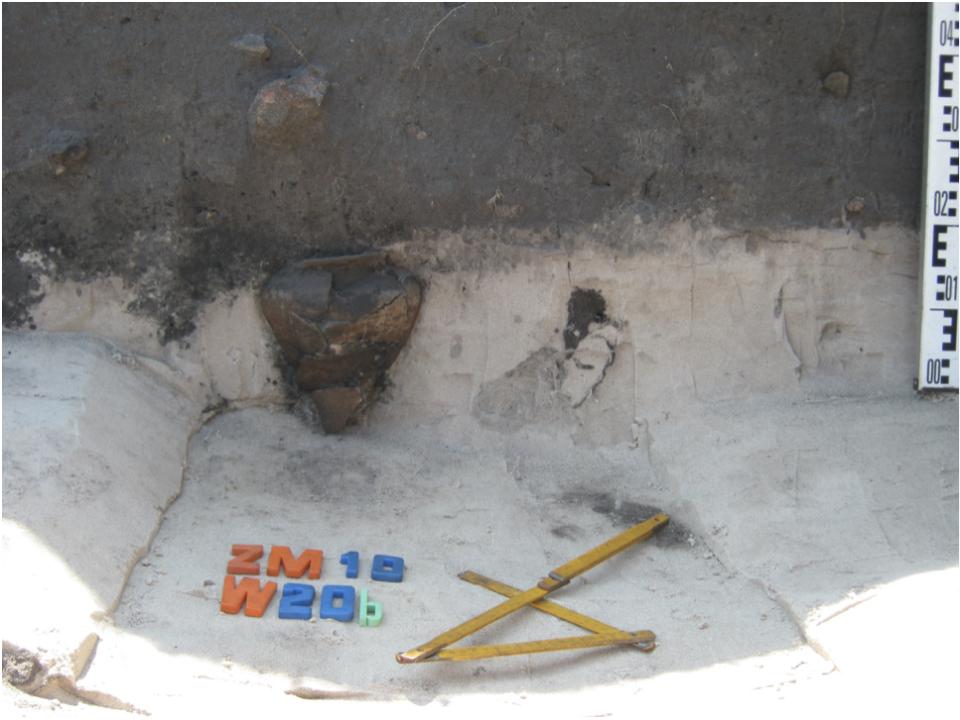 Żmijowiska, stanowisko 10. Naczynie ceramiczne wkopane pod obiekt – osada północna, badania w 2016 roku © A. Kacprzak