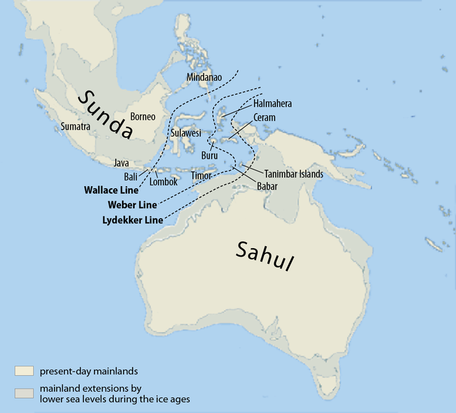 Mapa przedstawiająca przybliżony obszar zajmowany przez prehistoryczne kontynenty Sunda i Sahul wyk. M. Dörrbecker, na licencji CC BY-SA 3.0, via Wikimedia Commons