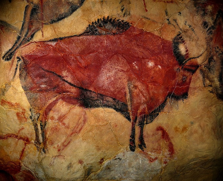 Fragment rysunku naskalnego z jaskini Altamira fot. Museo de Altamira y D. Rodríguez, opublikowano na licencji CC BY-SA 3.0