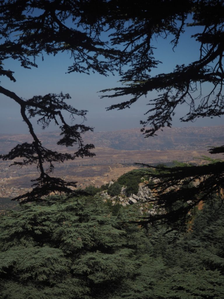 Rezerwat drzew cedrowych el-Chouf w środkowym Libanie i widok w kierunku Morza Śródziemnego © T. Waliszewski, na licencji CC-BY-SA 4.0