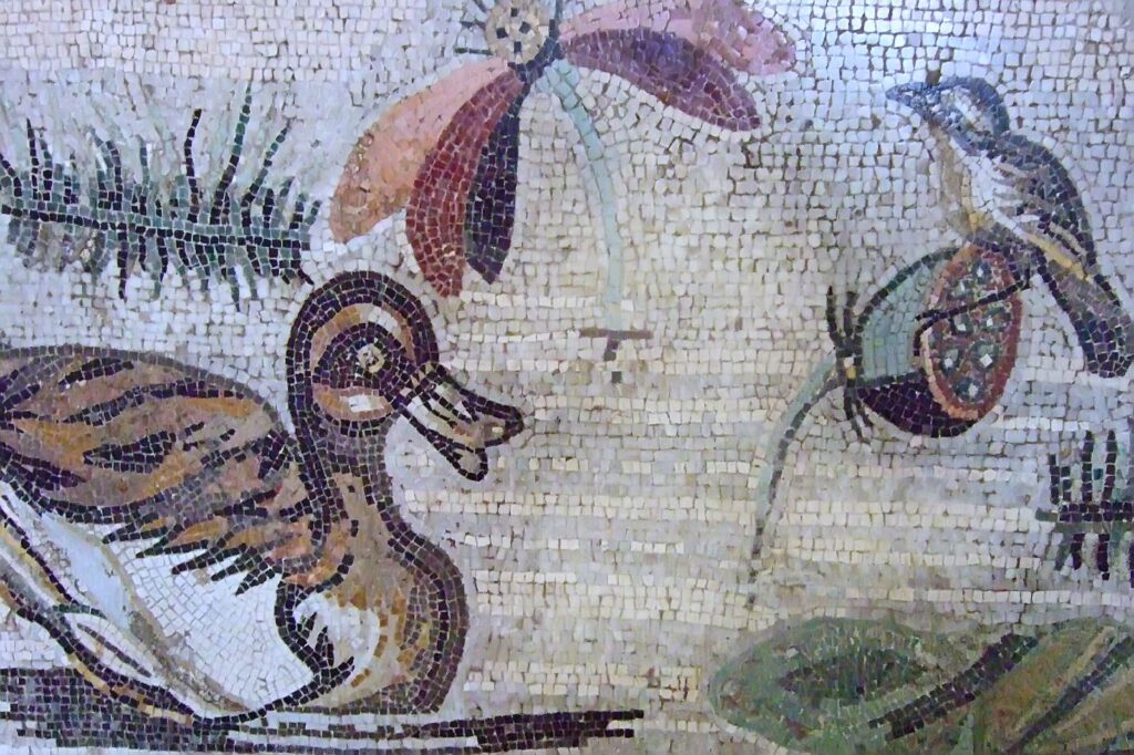 Mozaika przedstawiająca scenę rodzajową z kaczką i niezidentyfikowanym ptakiem z Domu Fauna w Pompejach © Mary Harrsch opublikowano na licencji CC BY-NC-SA 2.0, via Wikimedia Commons
