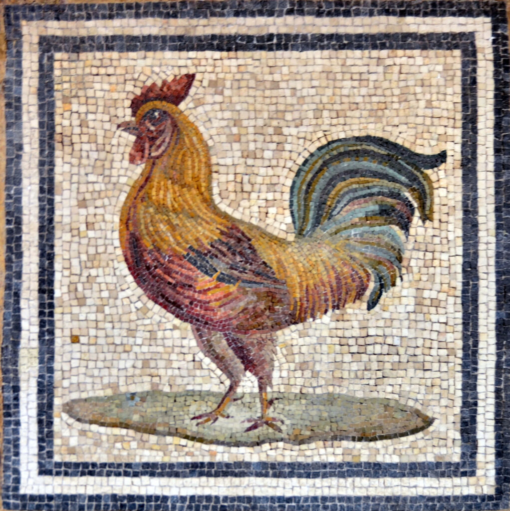 Mozaika przedstawiająca koguta w Museo Nazionale Romano, Termy Dioklecjana © Giovanni opublikowano na licencji CC BY-NC-SA 2.0, via Wikimedia Commons