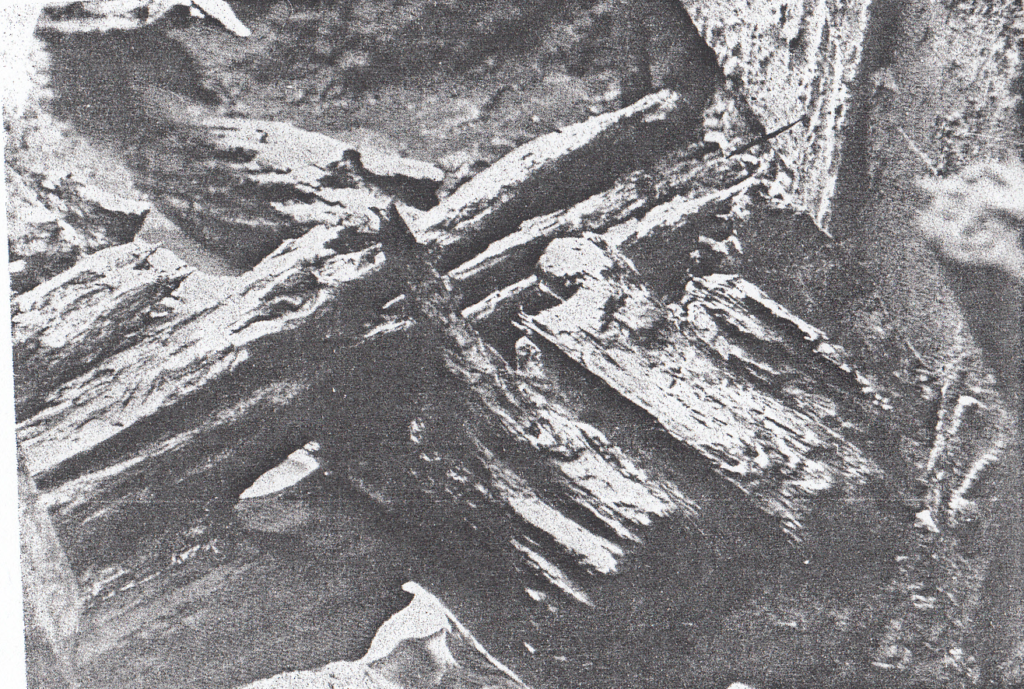 Podwaliny wału o konstrukcji hakowej wykop III na Ostrowie Tumskim we Wrocławiu, lata 1949–1951 (źródło: Kóčka, Ostrowska 1955, tabl. 73).