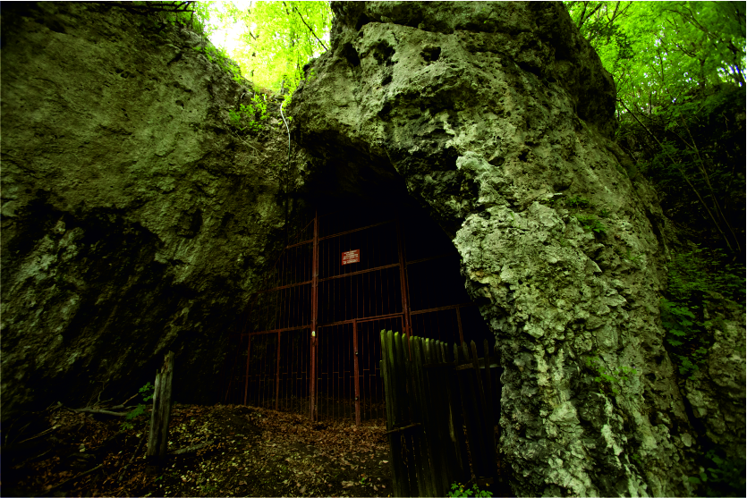 Widok otworu wejściowego do jaskini Koziarnia © M. Bogacki, na licencji CC BY-NC-SA 4.0