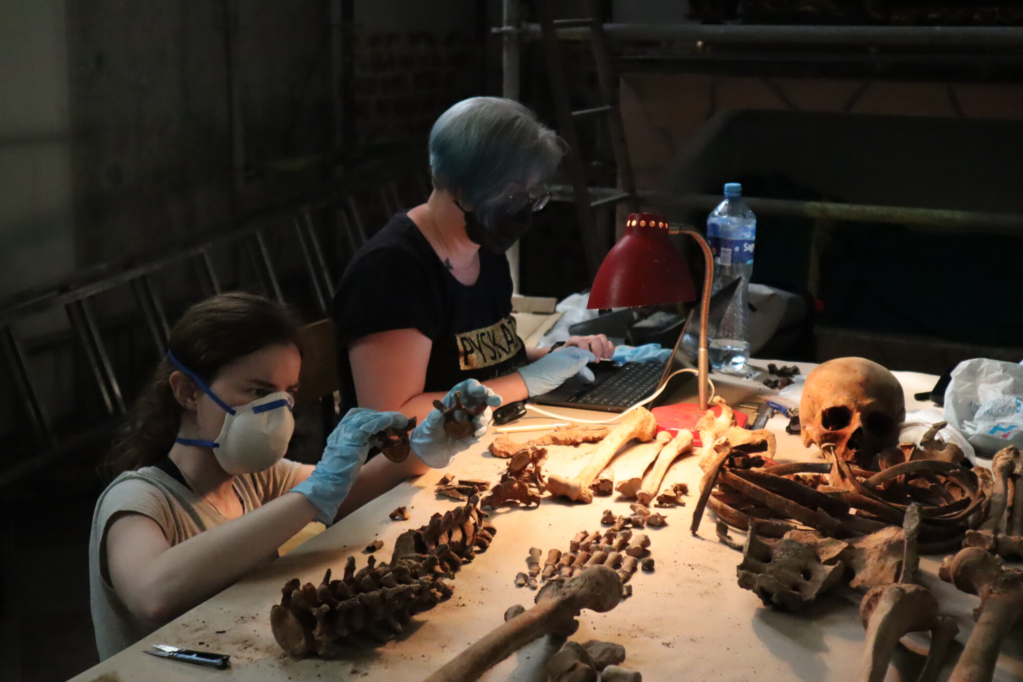 Osteolodzy w trakcie analizy szczątków kostnych w kaplicy Wejherów© K. Blusiewicz, na licencji CC BY-SA 4.0
