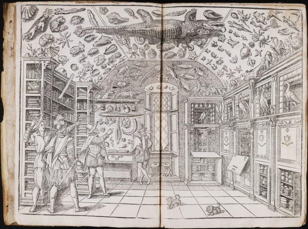 Portret Muzeum Ferrante Imperato. [Podwójna rycina przedstawiająca wnętrze muzeum i biblioteki Imperata.]Domena publiczna