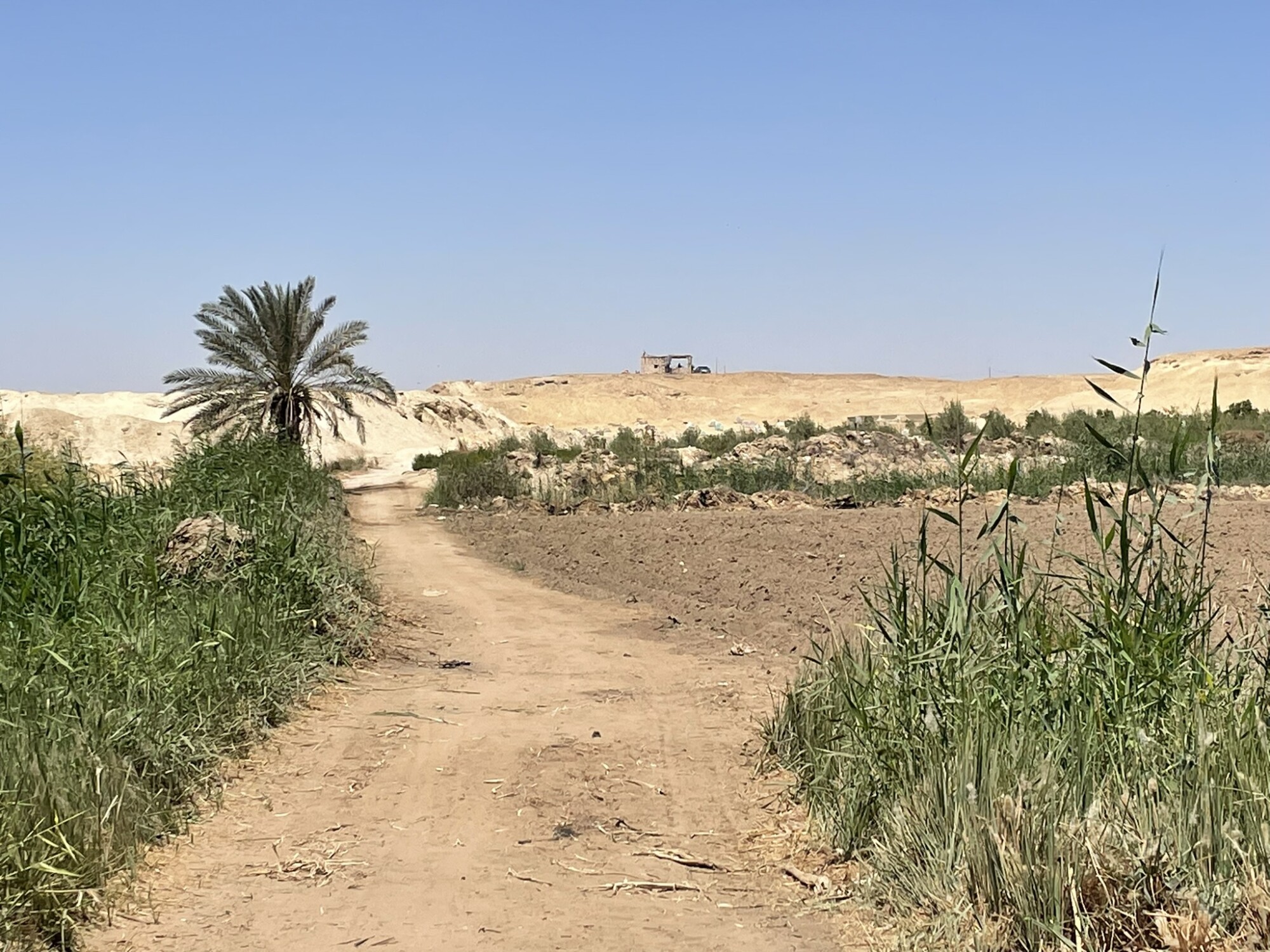 Widok na cmentarzysko w Tarkhan z widoczną stróżówką, którą postawiono na najwyższym punkcie stanowiska, ok. 75 m n.p.m. © Anna Wodzińska, na licencji CC BY-SA 4.0
