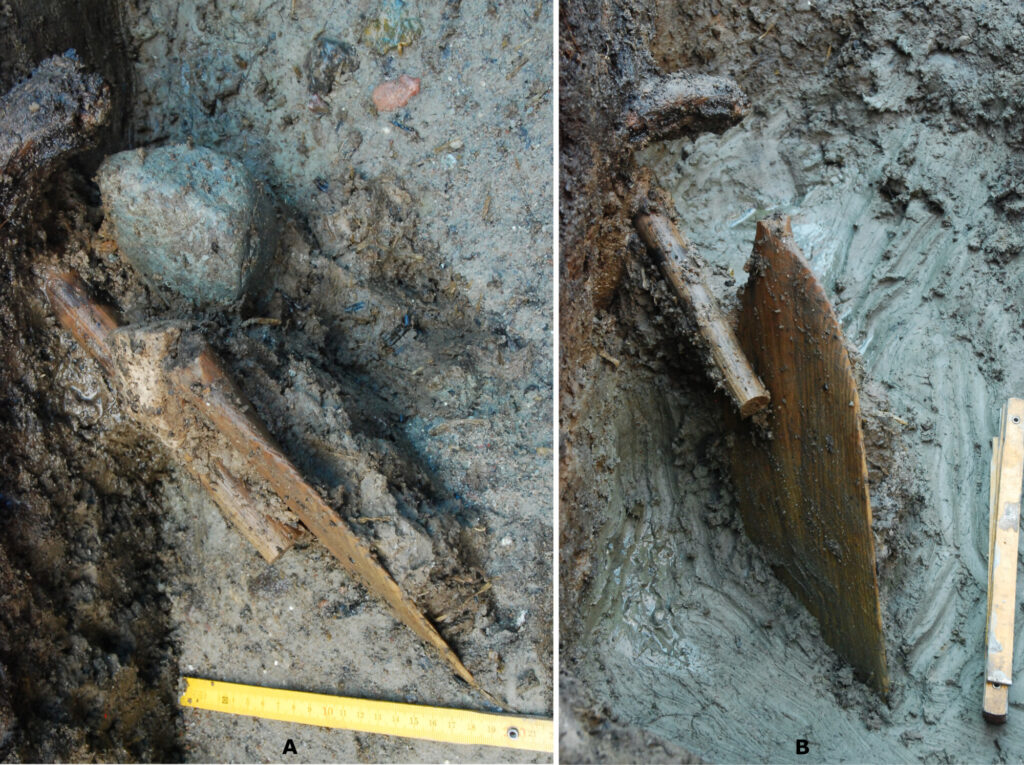 Drewniane wiosło in situ. a) Widok z góry na odłamany fragment pióra i trzonka, b) Widok z boku pióra tkwiącego w warstwie gytii. © Gumiński & Bugajska 2023